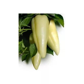 Paprika Emese F1 Duna - 1000 szem
