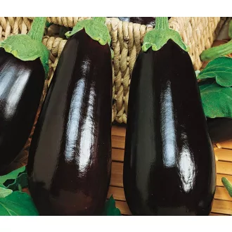 Tojásgyümölcs Eclipse F1 ZFW - 500 szem