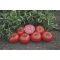 Paradicsom Tomsk F1 Bejo - 1000 szem
