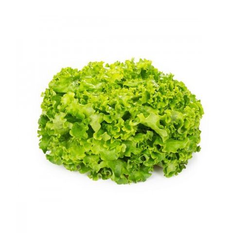 Saláta Concretion (81-BA4340) RZ Batávia - 1000 szem