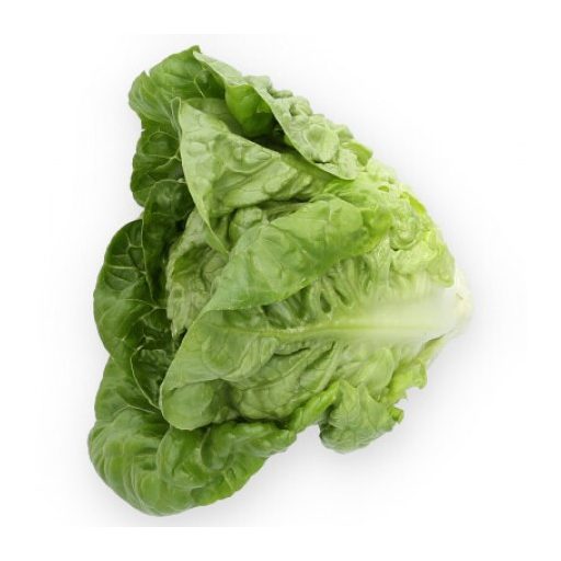 Saláta Alcoy (41-GE1396) RZ Római - 1000 szem