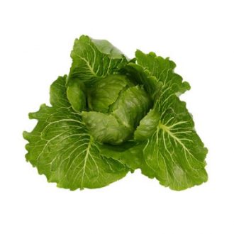 Saláta Malenita (41-611) RZ Római - 1000 szem