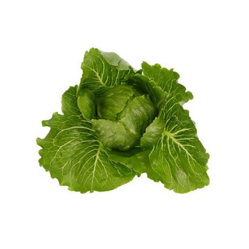 Saláta Malenita (41-611) RZ Római - 1000 szem