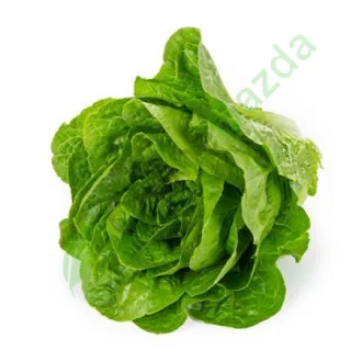 Saláta Concentrus (41-CO1225) RZ Római - 1000 szem