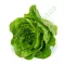 Saláta Concentrus (41-CO1225) RZ Római - 1000 szem