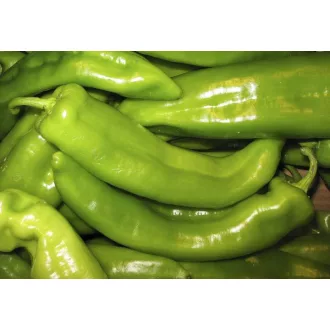 Paprika Rapires F1 Csípős Hegyes ZKI - 500 szem