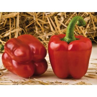 Paprika Abadia F1 Orosco - 250 szem