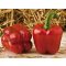 Paprika Abadia F1 Orosco - 250 szem