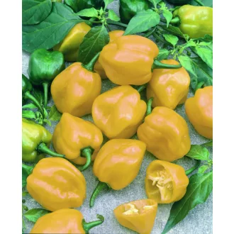 Paprika Habanero Lemon Semo - 100 szem