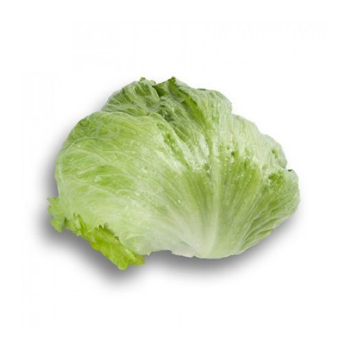 Saláta Ikebanas (45-192) RZ Jégsaláta - 1000 szem