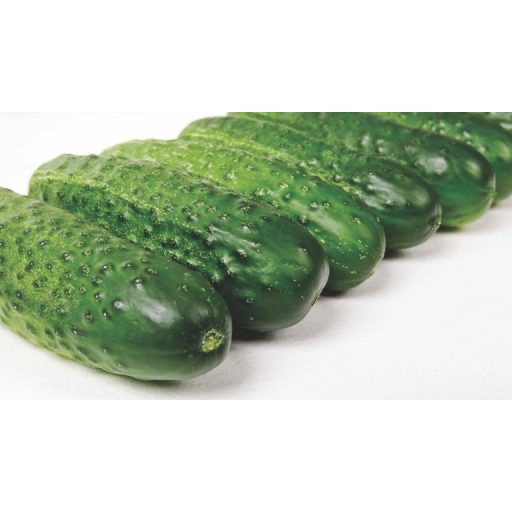 Uborka Branina F1 Precíziós Nunhems - 1000 szem