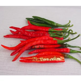 Paprika Rosso Chili ZFW - 50 szem