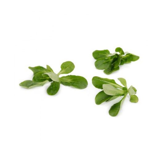 Saláta Madársaláta Sonett (50-502) RZ - 100.000 szem