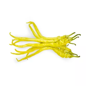 Paprika Csípős Spirál ZKI - 1000 szem