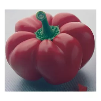 Paprika Kabala F1 Syngenta - 500 szem