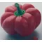Paprika Kabala F1 Syngenta - 500 szem