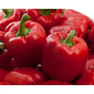 Paprika Yecla F1 Syngenta - 500 szem