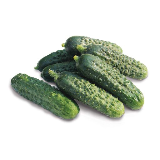 Uborka Malika F1 ZKI - 500 szem