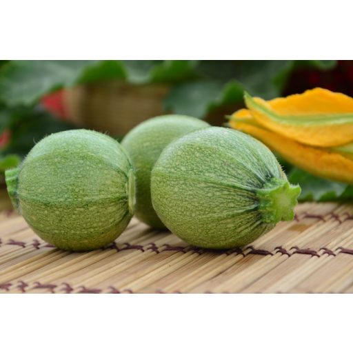 Cukkini Brice F1 Syngenta - 500 szem