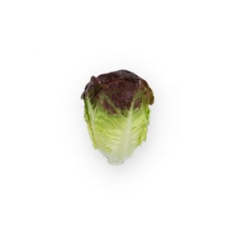 Saláta Veraine (41-GE5279) RZ Római - 1000 szem