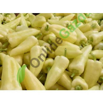 Paprika Fehérözön ZKI - 1000 szem