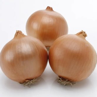 Vöröshagyma Ambrador F1 CORA SEEDS - 100.000 szem