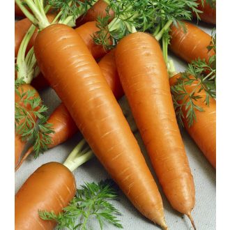 Sárgarépa Rubina Semo - 50g