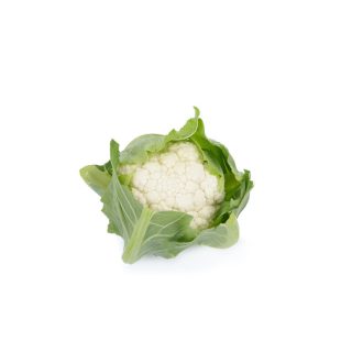 Karfiol Viturri RZ F1 (26-265) - 2500 szem