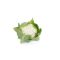 Karfiol Viturri RZ F1 (26-265) - 2500 szem