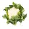 Karfiol Ponderet F1 (26-035) RZ - 2500 szem