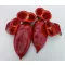 Paprika Kraljica F1 Kápia ZFW - 1000 szem