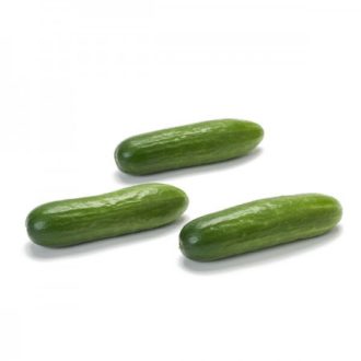 Uborka Quarto F1 (22-703) RZ Snack - 100 szem