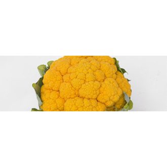 Karfiol Clementine F1 Syngenta - 2500 szem
