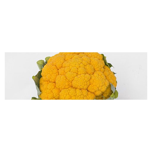 Karfiol Clementine F1 Syngenta - 2500 szem