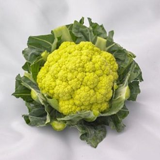 Karfiol Green Storm F1 Syngenta - 2500 szem