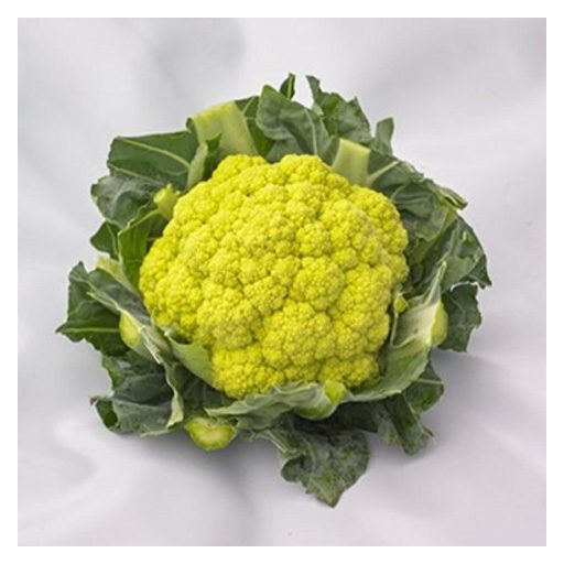 Karfiol Green Storm F1 Syngenta - 2500 szem