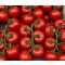 Paradicsom Axxy F1 (HTL1409352 F1) ZFW - 250 szem