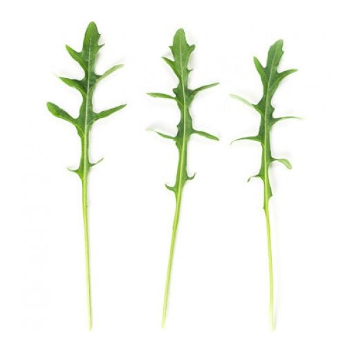 Rukola Sinope (89-001) RZ - 1.000.000 szem