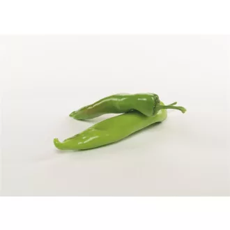 Paprika Juarez F1 Hegyes Erős Bejo - 250 szem
