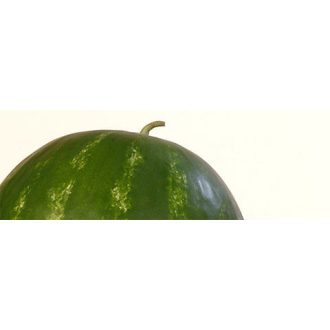 Görögdinnye Romanza F1 Syngenta - 1000 szem