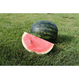Görögdinnye Mirto F1 Syngenta - 1000 szem