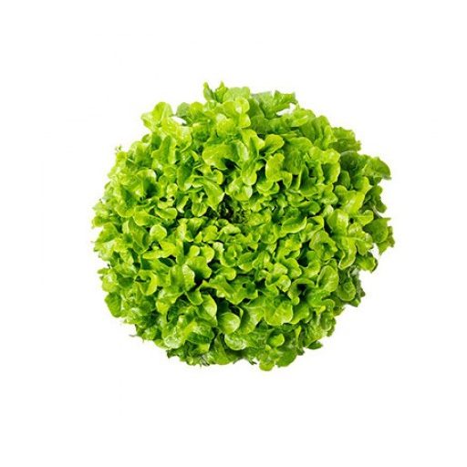 Saláta Kirke (83-134) RZ Tölgylevelű - 1000 szem