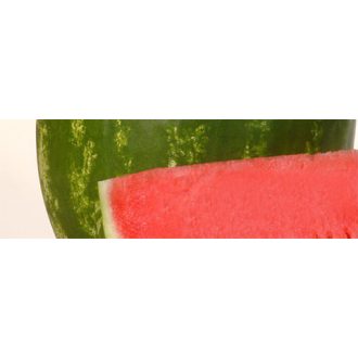 Görögdinnye Karistan F1 Syngenta - 1000 szem