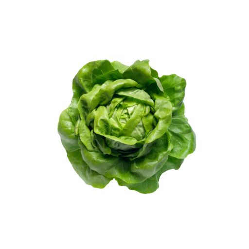 Saláta Ursula Pillírozott Nunhems - 5000 szem