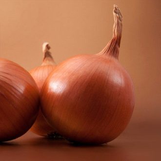 Vöröshagyma Bosko F1 Syngenta - 250.000 szem