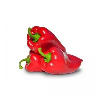 Paprika Navigator F1 ZKI - 1000 szem