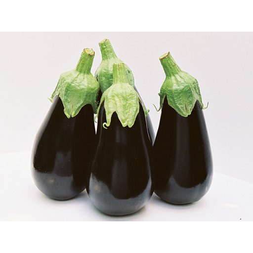 Tojásgyümölcs Traviata F1 Enza - 500 Szem