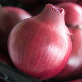 Vöröshagyma Darko F1 Lila Syngenta - 250.000 szem