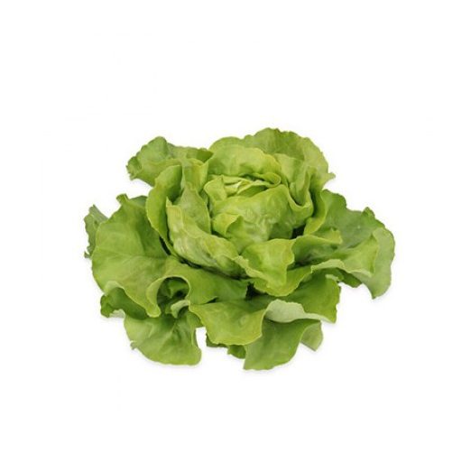 Saláta Zoilo (43-130) RZ - 1000 szem