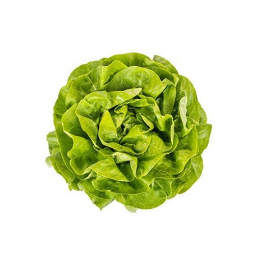 Saláta Danubia (42-BU6965) RZ - 5000 szem